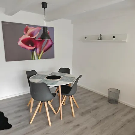 Appartement Work And Sundern-allendorf Modernisierte Mit 5 Betten Schlafcouch Mit Balkon *